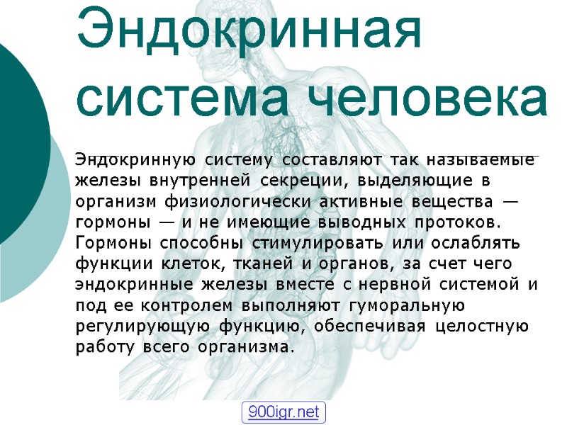 Эндокринная система человека Эндокринную систему составляют так называемые железы внутренней секреции, выделяющие в организм